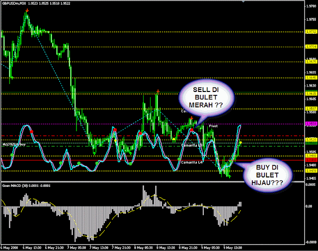 forex holy grail golden eagle edition free download